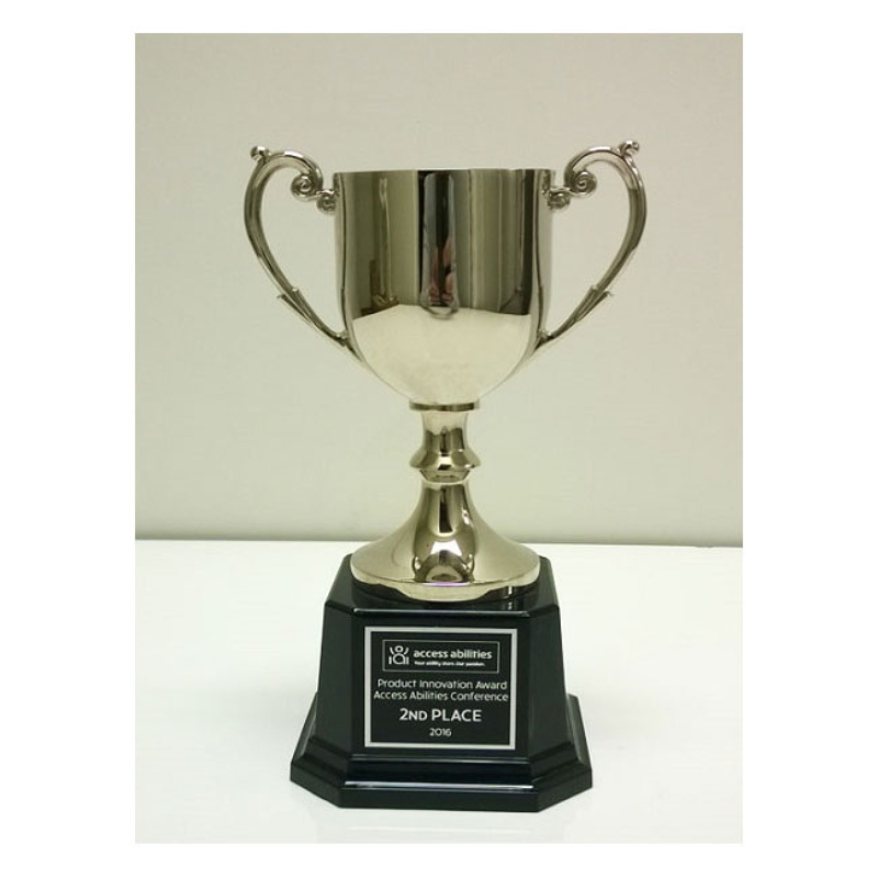 Ultimate Toilet Safety Frame-AWARD WINNING